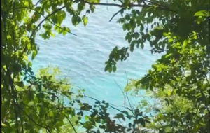 �S�ģ����Rһ�ӵĺ�ˮӳ�����{����Ƶĵ�Ӱ