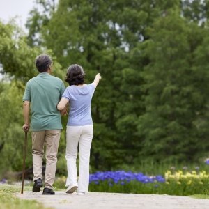  �f�Z���칫�@�_ʼ���M�ˣ�2��1���_ʼ����������M��