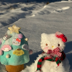 ���ա����c����hello kitty ��ɐۣ�