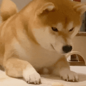 ���ӷŌW����²ۣ���ԇ�ɿ����ã��ώ��Ѿ��ӿ���һ��׌�W����