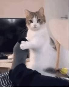 �Lɽ���ͨ܇֮��Ĕ�ɽ������λ�Л]�и��X�����߷�܇�����˺ܶ�