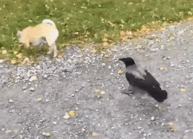 �ֵ�����K����ĕr������ؔ������һ�£������ű�ȥ����˴��3W