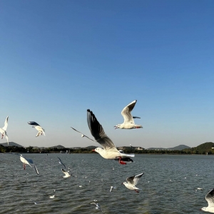 �S���Ĵ򿨣�һ����(l��i)ι���t��