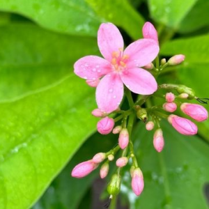 ���cƯ���Ļ����p�������������£�