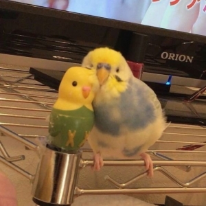 �����B���@ô�ɐ۵�С�B�l�ֿ���ס��