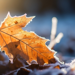 ���������m(x��)���¡�