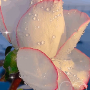 �W�ѷ�������������_��Ը���ⲻ��