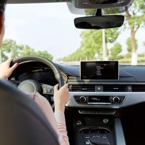 ע�⣡���³�������