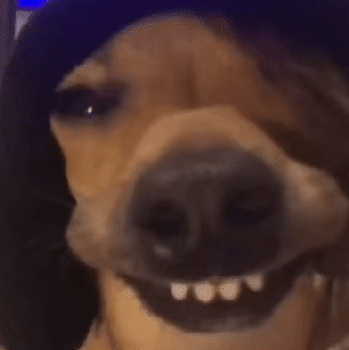 �����������܇վ��d�ğ��_��ϡ���䣬��Ʊ��Ҳֻ��һ��(g��)��