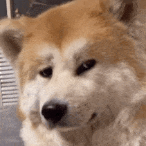 ĸ�H�R��Ҫ60�q�ˣ���֪���ʂ�ʲô�Y��o����