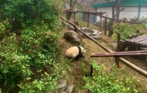 ���Ͼ��tɽ����@��̫�����������߰���