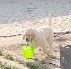 �����ָ�ð�ˣ������Q�����Ӂ������ܲ�����