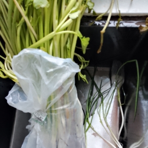 ��������ȥ�I��һ��ˮ��15��һ�l����~37���ゃ�X���F�᣿