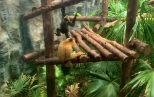 �Ͼ��tɽ����@�S�ģ��W�t����򂀿�