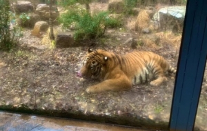 �򿨼tɽ���^�����ܵ����������°�Ŀ옷