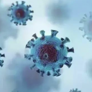 ����ͨ������򌢻�����