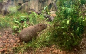 �򿨄������������ɐ۱���