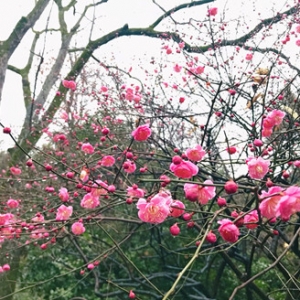 ���봺�\�������򿨺���÷��