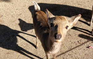 ף�������������ǰ�̖T�T������䲜䲜���I�D�D~