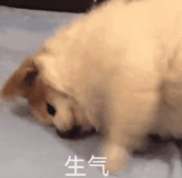 ���p���c��ȥ�ϰ���һ�c�c���Y��߀����ȥ��С����