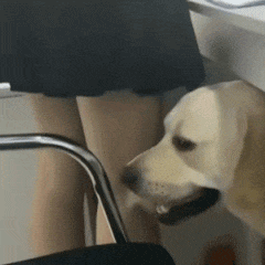 ���Fһ�_ͨ���Ҹ��X��ꎿ챻߅��������