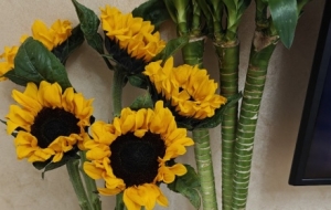 ��񻨻�������ȥ���B�Ј��I����Ҫ�X��