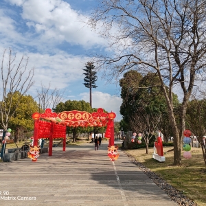 �DӰ����S�ģ�����(g��)���[��ȥ�˺���ˣһˣ