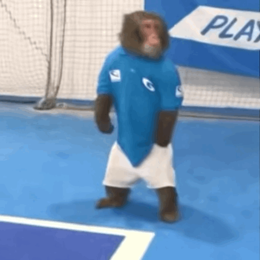 �������٣��ⲻ��ȥ����̫�y�ˣ�