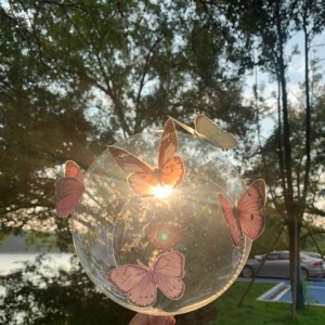 �W�ѷ����������w�w���t�������g