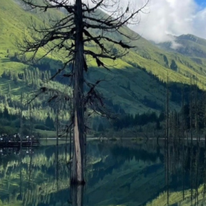 ����СȤ�����ɺͿ옷��ԓ�����h��픣�