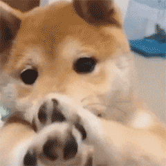 ��������Ě�Ϣ�ѽ�(j��ng)��u��񣬬F(xi��n)���@�������ʲô����