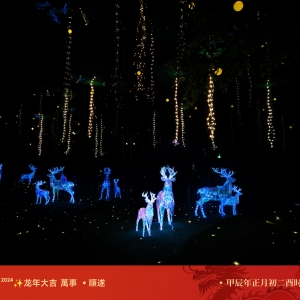 ӰԺ�򿨣���һ���e�˵Ĺ���