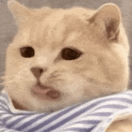 ̫�����ˣ��󋌴󠔂�?y��u)��?0��(g��)���M(f��i)�u������(d��o)�������Ҫô�M(j��n)��ȥҪô������(l��i)