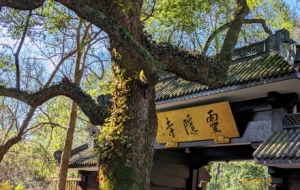 �κ����`�[���������[�[�Ę�ľ�G�ⰻȻ