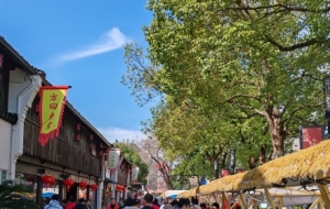 �S���ģ����c�˱�����������ȥ������