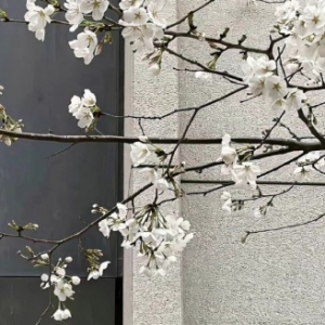 ���S�W(w��ng)���R�^��һ�������������W