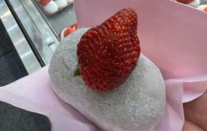 ӛ��ձ�����Щ��ɢ�ڽǽ������С�Ժ�С�