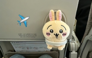 �W�ѷ�����ż�������������磡