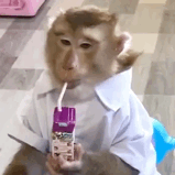 ����С�������˲���һ���¾Ϳ���������߀��ĘƤ�����