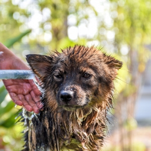 �е��B(y��ng)�������|(zh��)�ò��ʺ���ܣ����K������