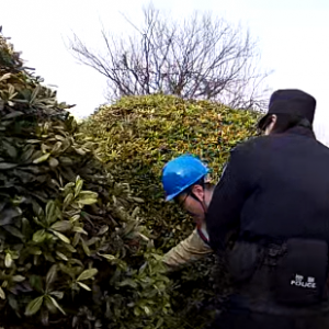 ٝ������@���ɳ���������