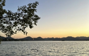 ���������º����������L(f��ng)�����箋(hu��)