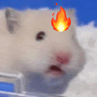 ��Ȼ������늓����և���������(qi��ng)��С����W(w��ng)�a���o(w��)֪�֚���