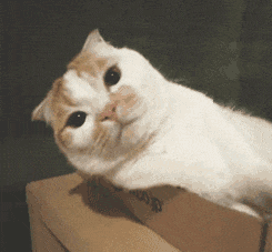 �������(b��o)1w��Ӗ(x��n)��ӛ�������n������׌��֔(j��n)���c(di��n)�e�����������s�f(shu��)��̧��