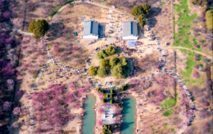 ����ĵ�һ�����У���ף���򿨰�