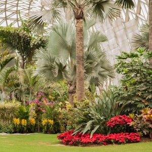 ��ɽ��ֲ��@�_(k��i)���D�����ǰl(f��)չ��Խ��(l��i)Խ���ˣ��Ͳ(g��)�W(w��ng)�t�˚��(xi��ng)Ŀ��