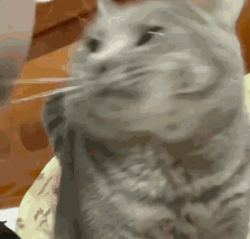 ���t(y��)Ժ������ô�������(du��)��������ô��һ��(g��)�t(y��)����һ��(g��)�o(h��)ʿ