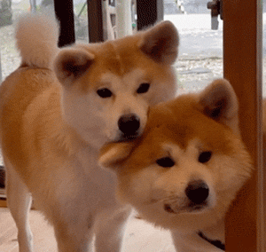 �f(w��n)�_(d��)����(ch��ng)2̖(h��o)�T(m��n)���_(t��i)���(d��ng)��·�С�Ąe���_��