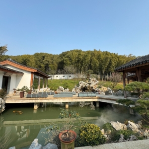 �����S���ģ��������ģ��Ʒ����