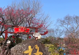 ҕ�l��̤���p÷������÷�@ʼ��